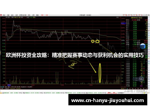 欧洲杯投资全攻略：精准把握赛事动态与获利机会的实用技巧